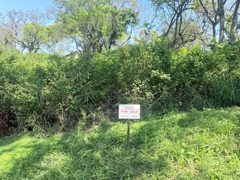A vacant residential plot featuring mature trees and overgrown vegetation, with a for sale sign clearly visible from the paved street.