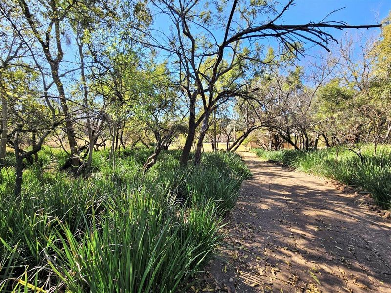 8300m2 Vacant Land in K'Shane, Kosmos - Photo 3