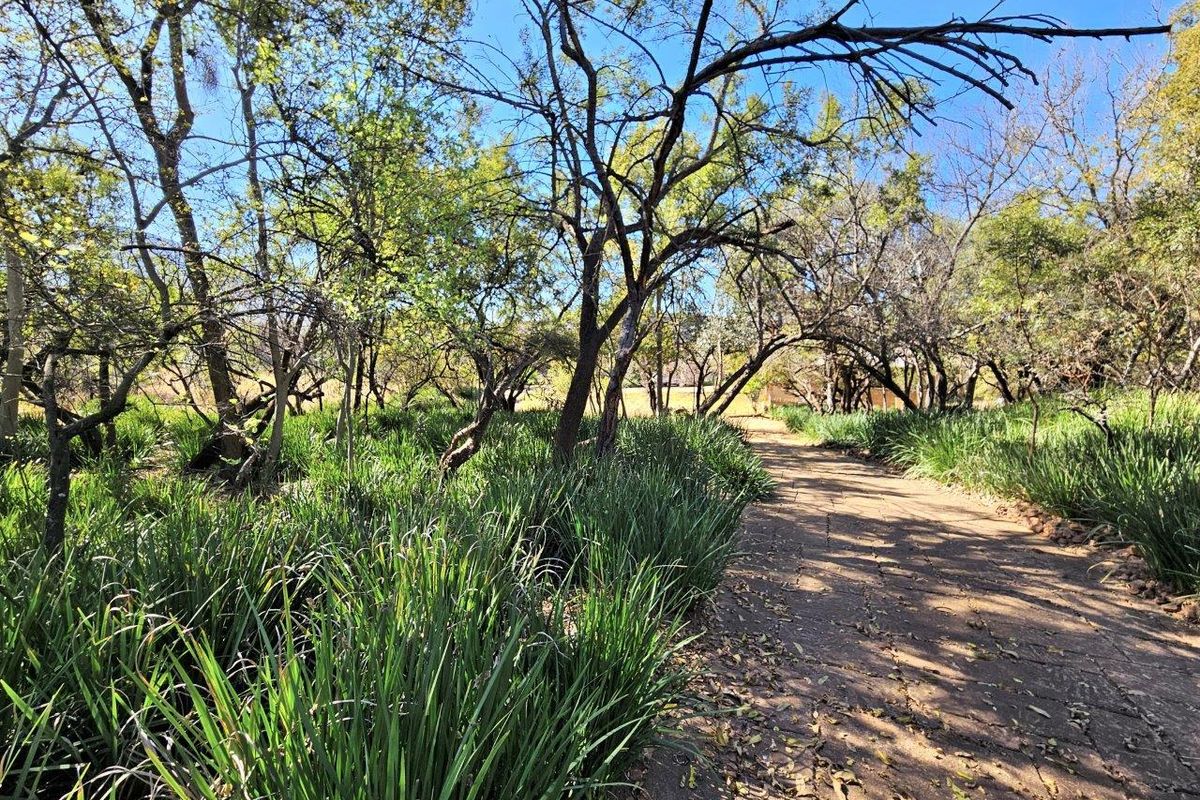 8300m2 Vacant Land in K'Shane, Kosmos - Photo 3