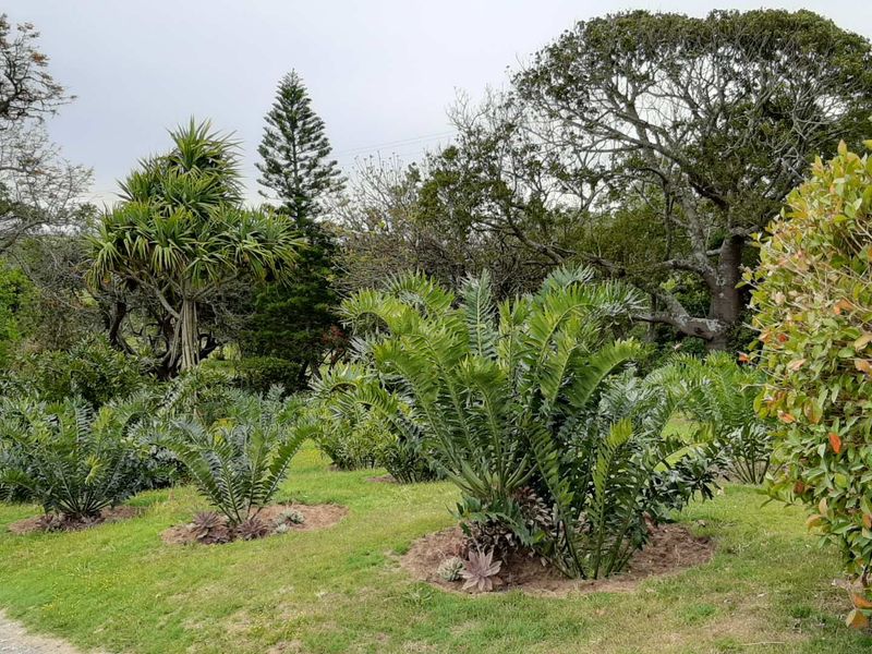 CHANGE YOUR LIFESTYLE TO COUNTRY LIVING - Photo 4