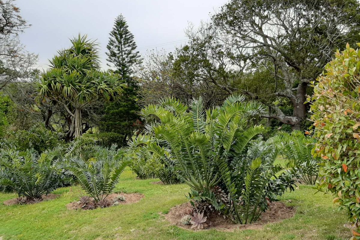 CHANGE YOUR LIFESTYLE TO COUNTRY LIVING - Photo 4