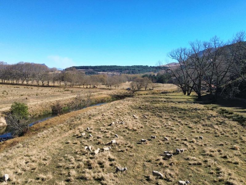 An aerial view of the farm property featuring expansive grazing pastures, a natural river, and mature trees under a clear blue sky.
