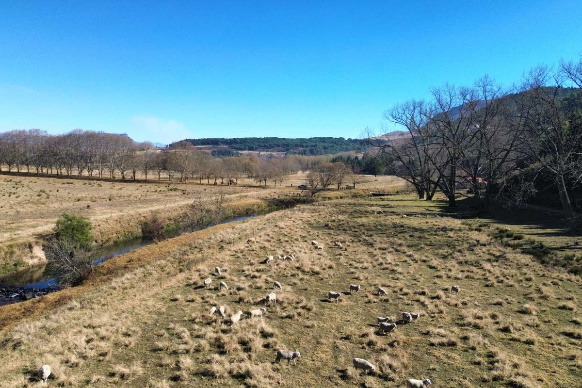 An aerial view of the farm property featuring expansive grazing pastures, a natural river, and mature trees under a clear blue sky.