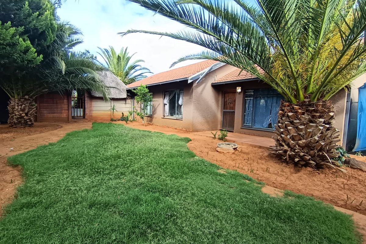 Rear view of the house featuring a lawn area, mature palm trees, and a small thatched-roof structure in the garden.