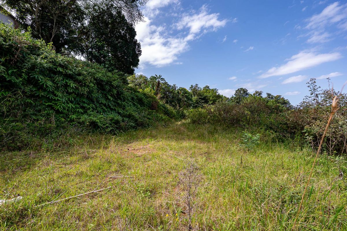 A view of the vacant residential land featuring natural vegetation, mature trees, and sloping terrain.