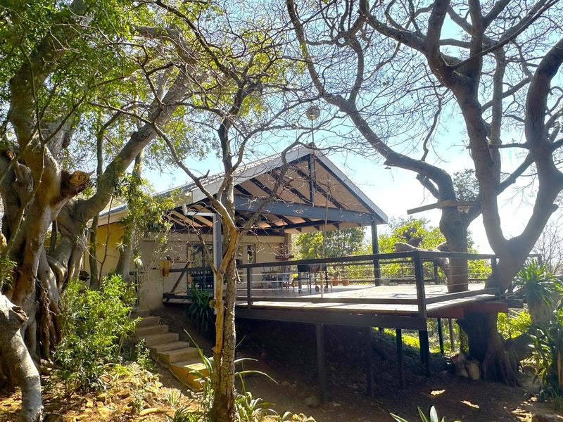 A raised timber deck with a pitched roof and exposed rafters, set within a natural garden environment with mature trees.