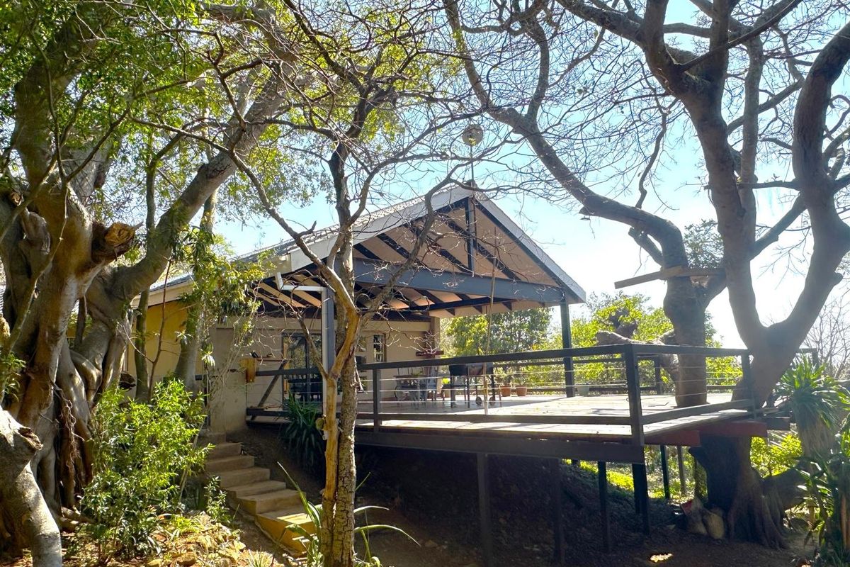A raised timber deck with a pitched roof and exposed rafters, set within a natural garden environment with mature trees.