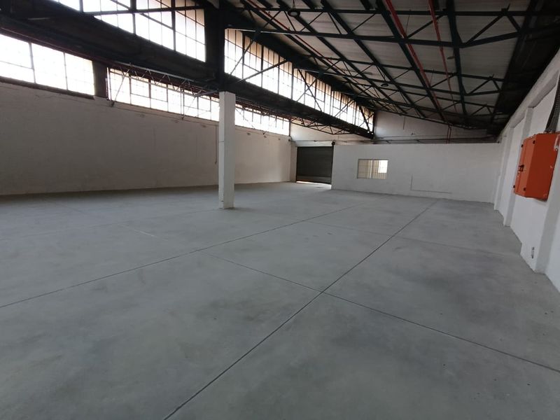 Spacious industrial warehouse unit featuring high ceilings with exposed steel trusses, polished concrete flooring, and a large roller shutter door for easy access.
