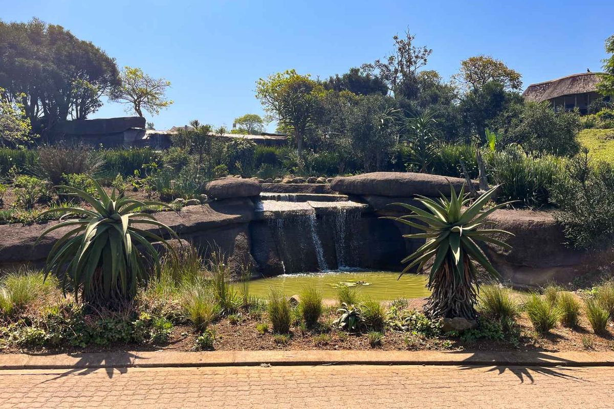 ALMOST PANCAKE LEVEL LAND IN THE PRESTINE PHEZULU ECO ESTATE! - Photo 5