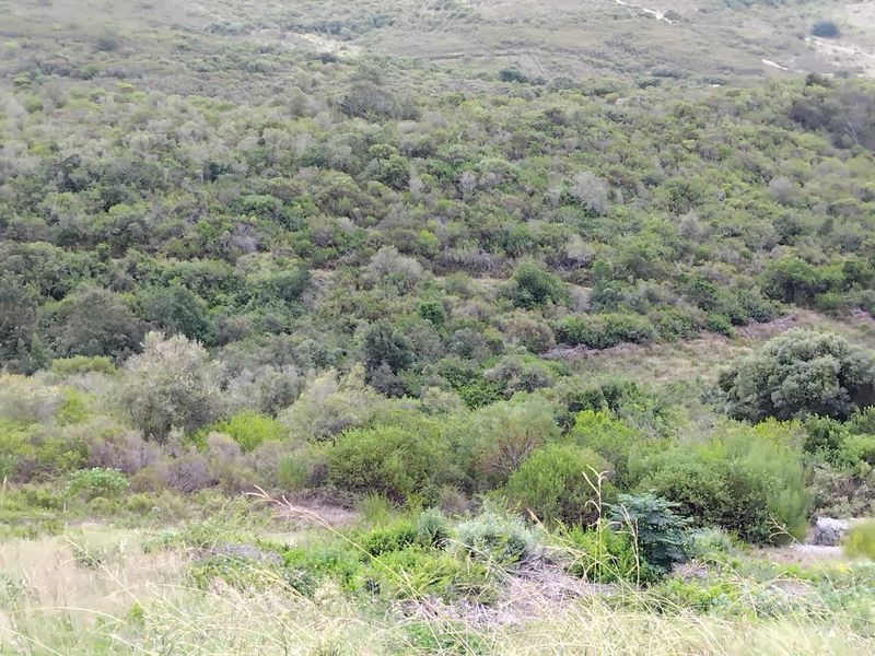 Prime North-Facing Vacant Land in Prestigious Estate** - Photo 2