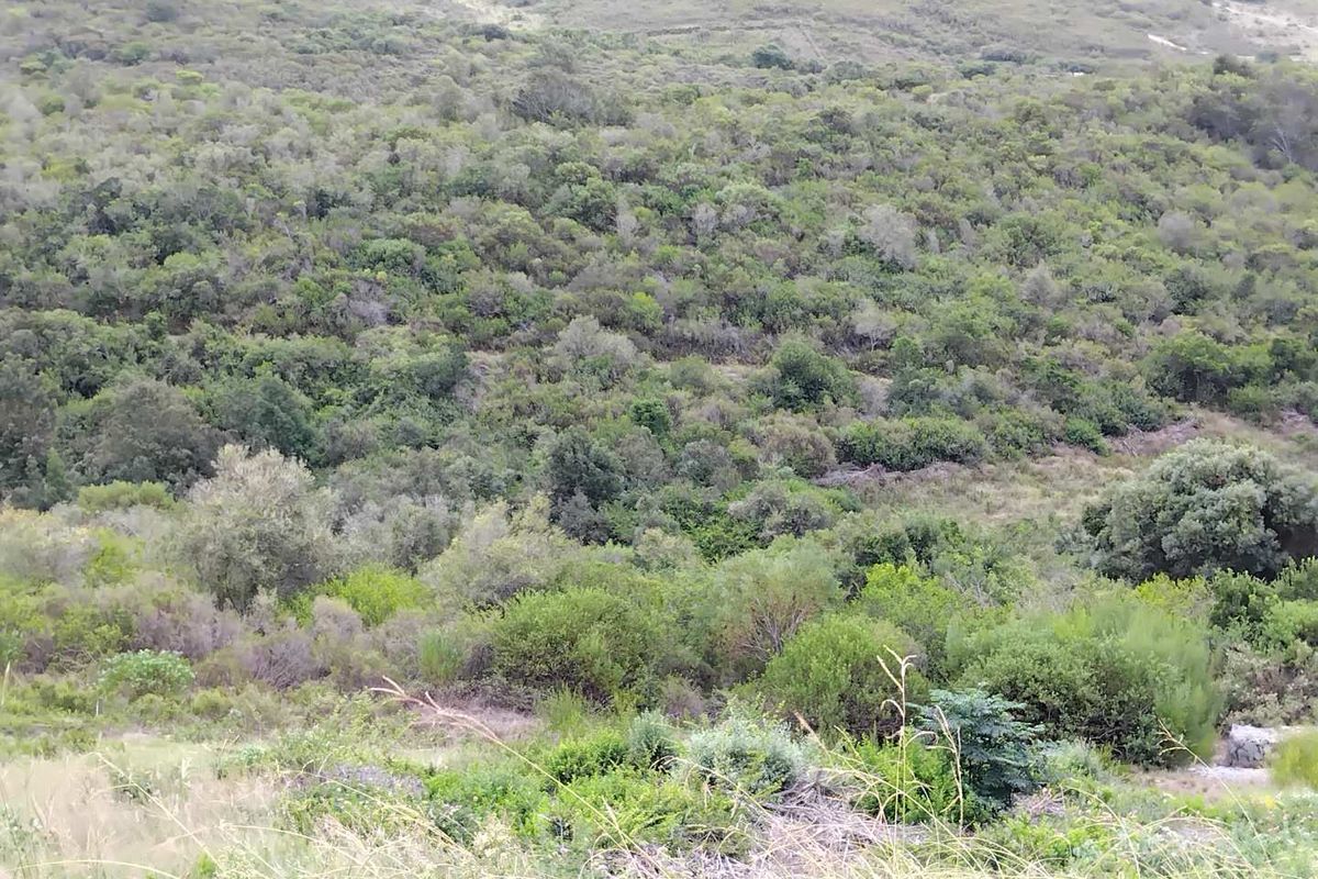 Prime North-Facing Vacant Land in Prestigious Estate** - Photo 2