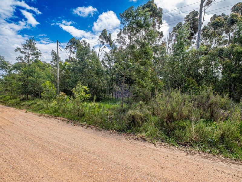 Step into a realm of possibilities with this exceptional Industrial property. - Photo 10