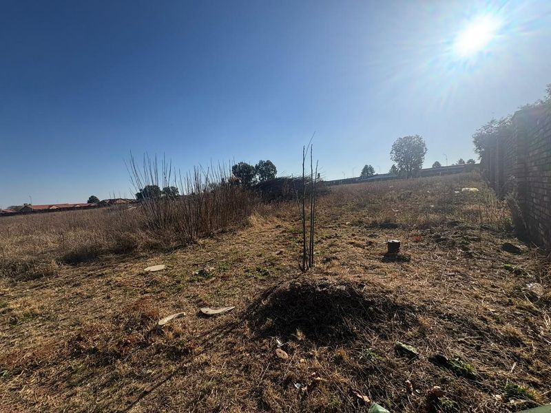 A vacant residential plot featuring dry, overgrown vegetation and a brick boundary wall, offering a blank canvas for future development.