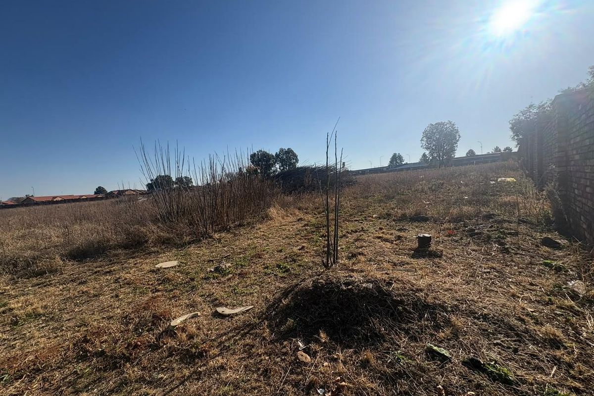 A vacant residential plot featuring dry, overgrown vegetation and a brick boundary wall, offering a blank canvas for future development.