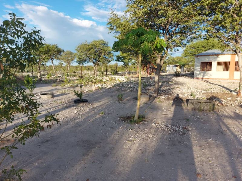 Prime Farm with Business Opportunities - For Sale - Photo 9