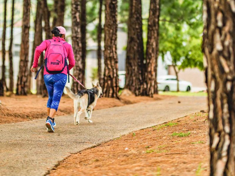 An elite lifestyle, vibrant living, a serene escape with no sacrifices... - Photo 9