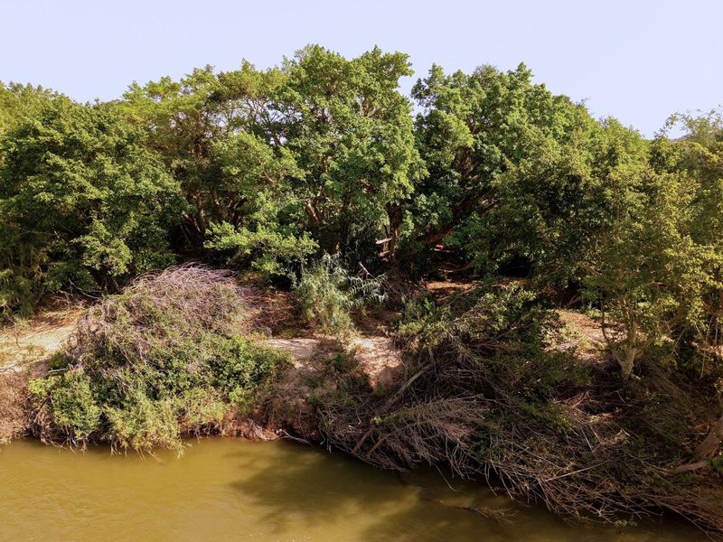 A scenic view of the river frontage featuring mature trees and natural vegetation along the bank.