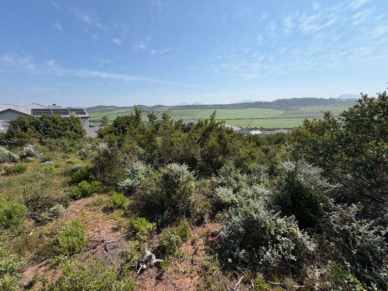 A scenic view overlooking a natural landscape with native vegetation and distant hills, showcasing the property's elevated position.