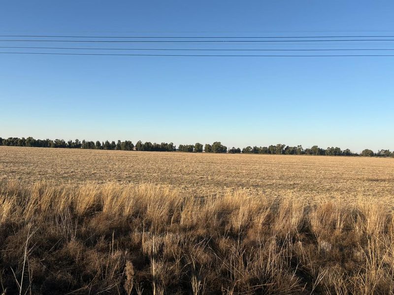 A wide-angle view of an expansive, flat agricultural field with dry grass and a distant tree line under a clear blue sky.