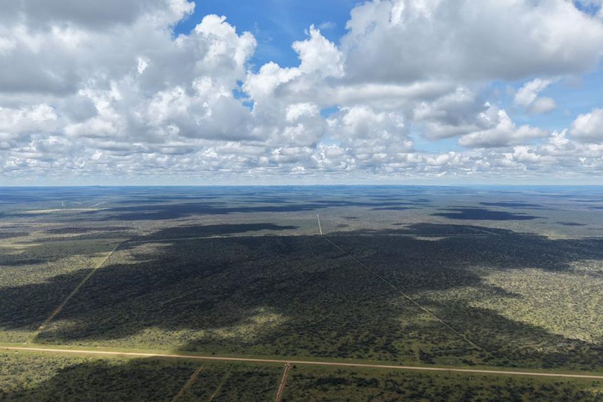 Hochfeld Dream Farms: Last Phase Almost Sold Out! - Photo 5