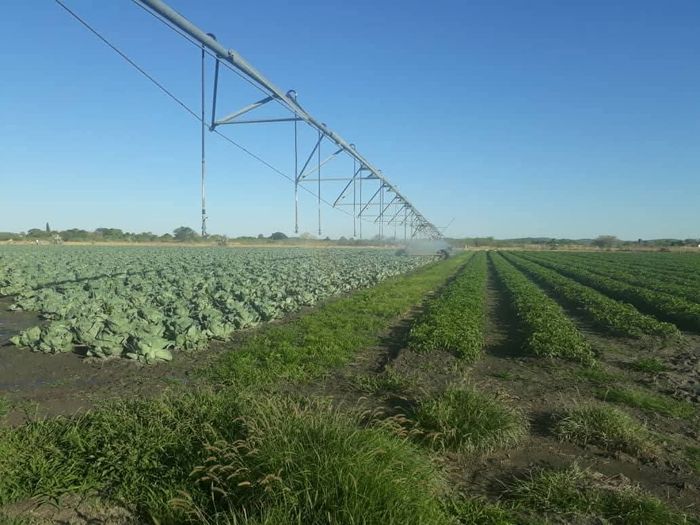 Property #2403692, Small Holding For Sale in Tsumeb Central