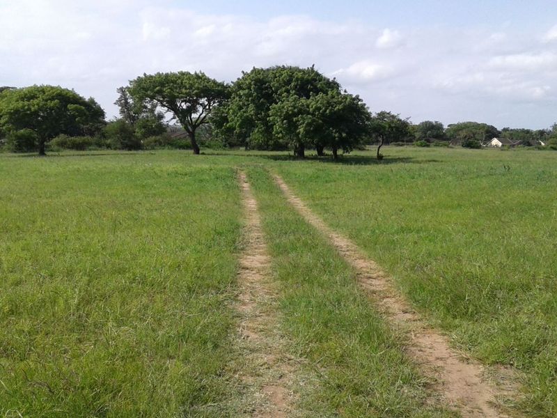 Vacant Land in MTUBATUBA - Photo 7