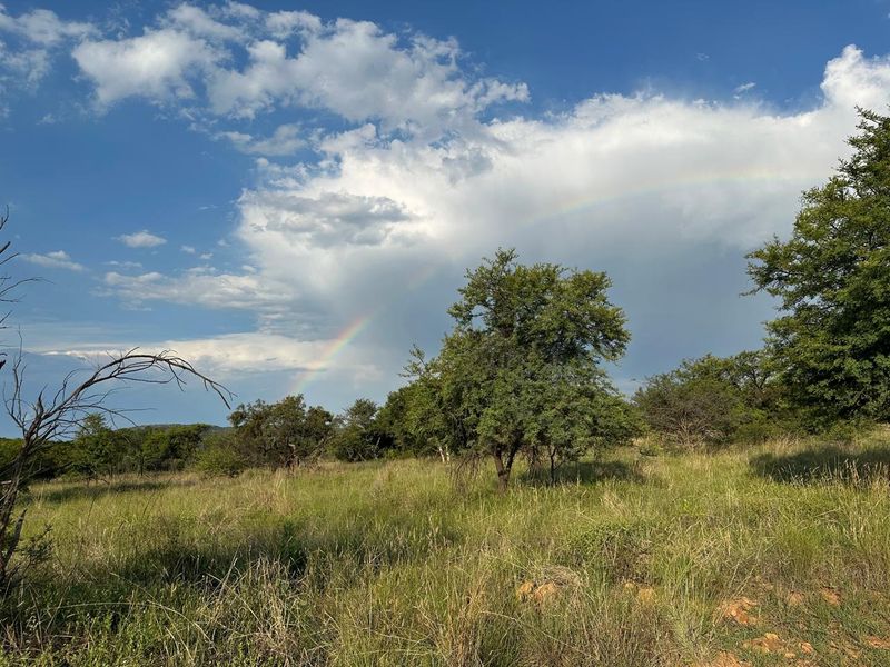 BUSVELD 4.2 HA VACANT LAND FOR SALE  - NO FARMING -R1 170 000 - Photo 7