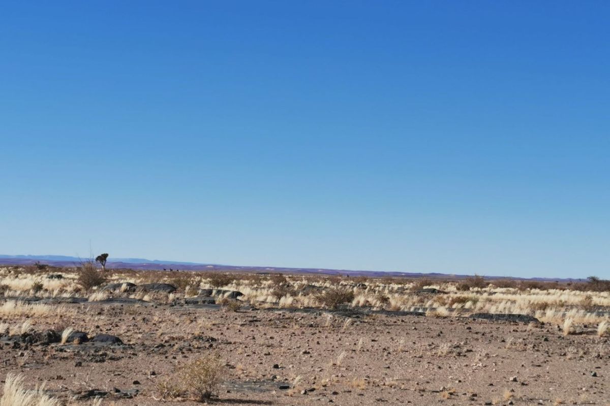 FOR SALE - GAME FARM IN THE KEETMANSHOOP AREA, NAMIBIA - Photo 3