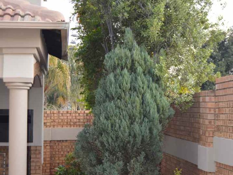 Beautful and modern house in the Wilds Estate - Photo 5