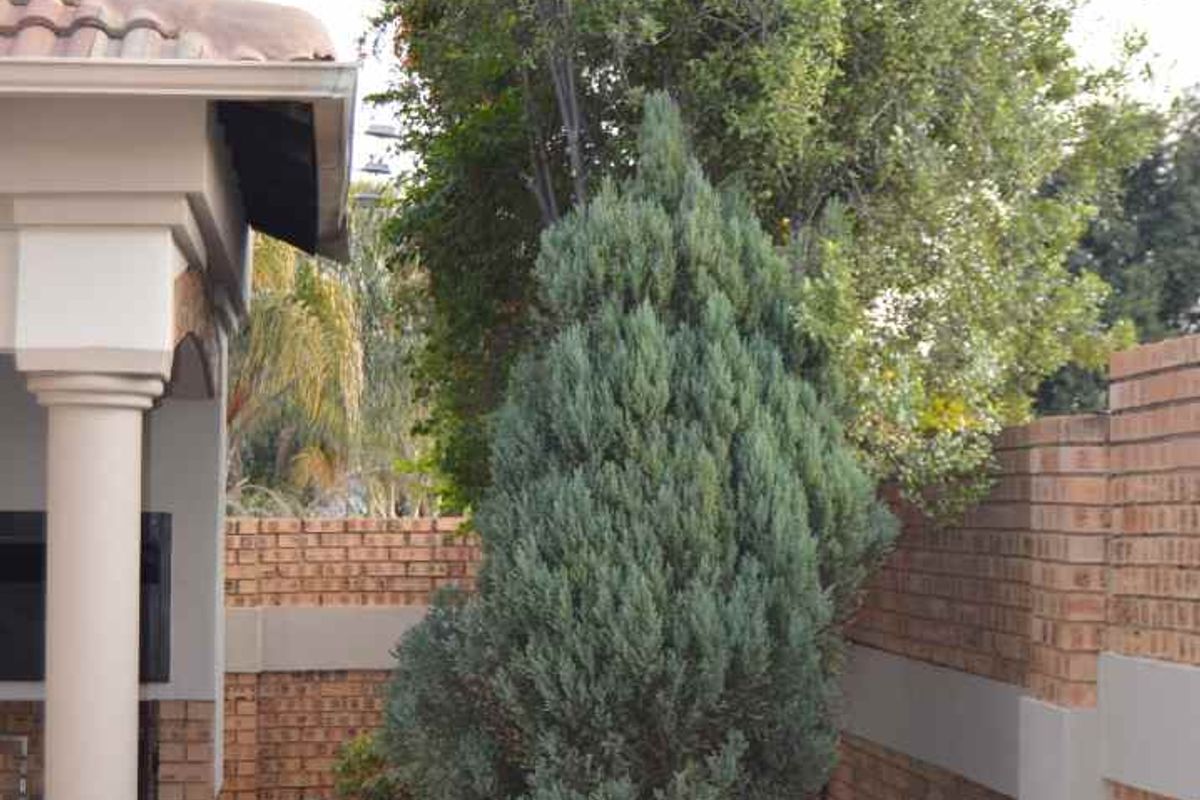 Beautful and modern house in the Wilds Estate - Photo 5