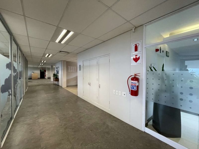 A clean, well-lit office hallway featuring a suspended ceiling, glass partitions, and integrated fire safety equipment.