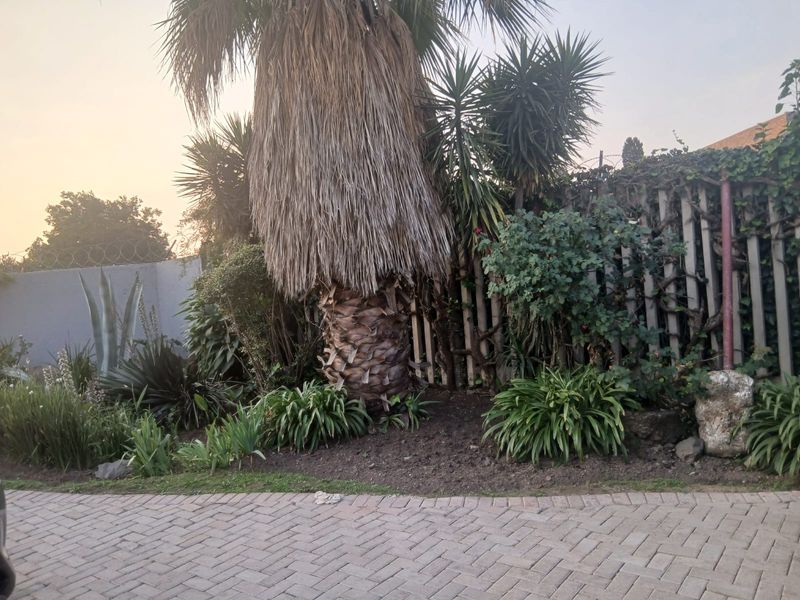 A garden area featuring a paved driveway, perimeter wall with security spikes, and established landscaping including a large palm tree and wooden fencing.