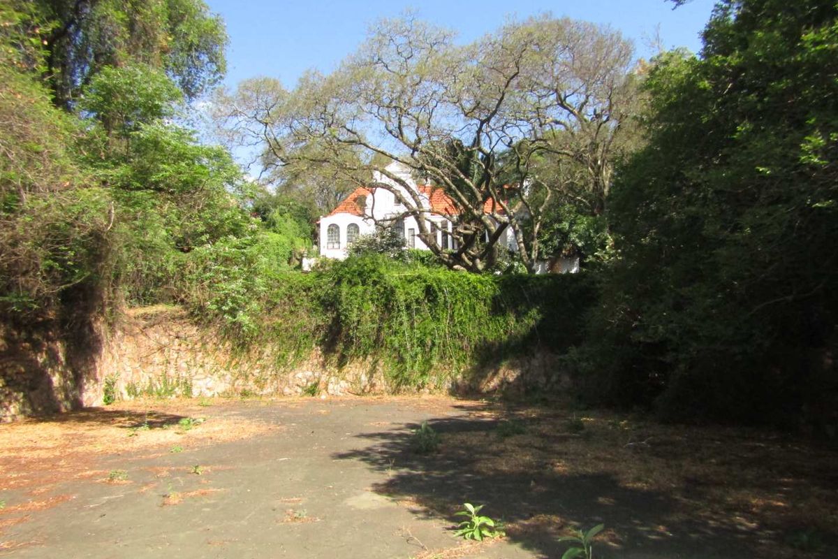 Endless Potential: Heritage Property on Young Ave Awaits You - Photo 5