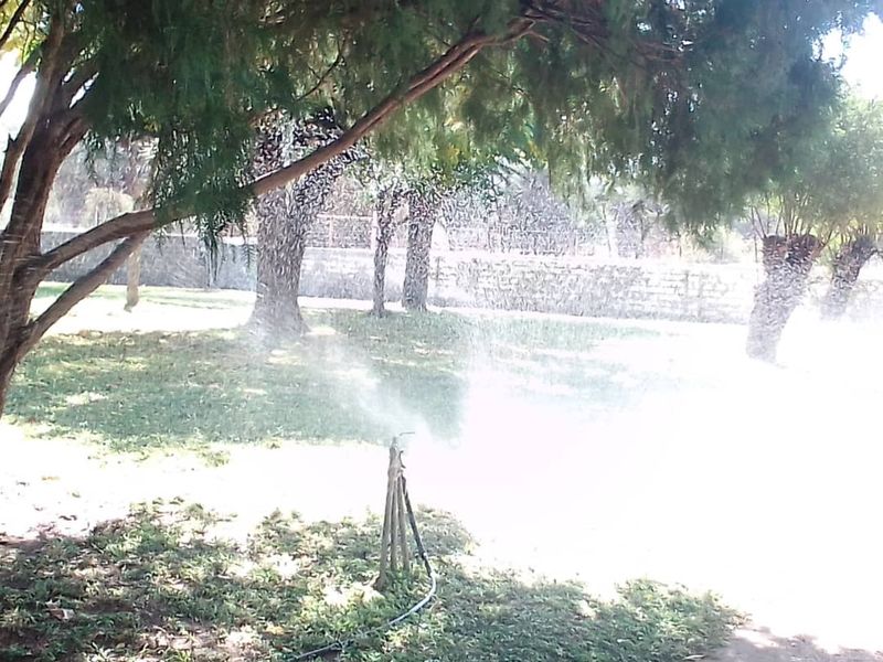 Small Holding for sale - Photo 6