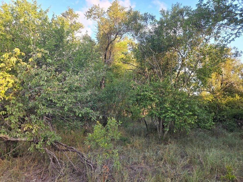 Vacant Land in MODITLO NATURE RESERVE - Photo 10