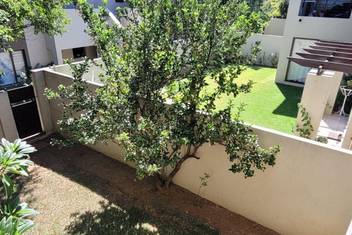 Elevated view of a private rear garden featuring a lawn, paved patio area with a pergola, and secure perimeter walling.