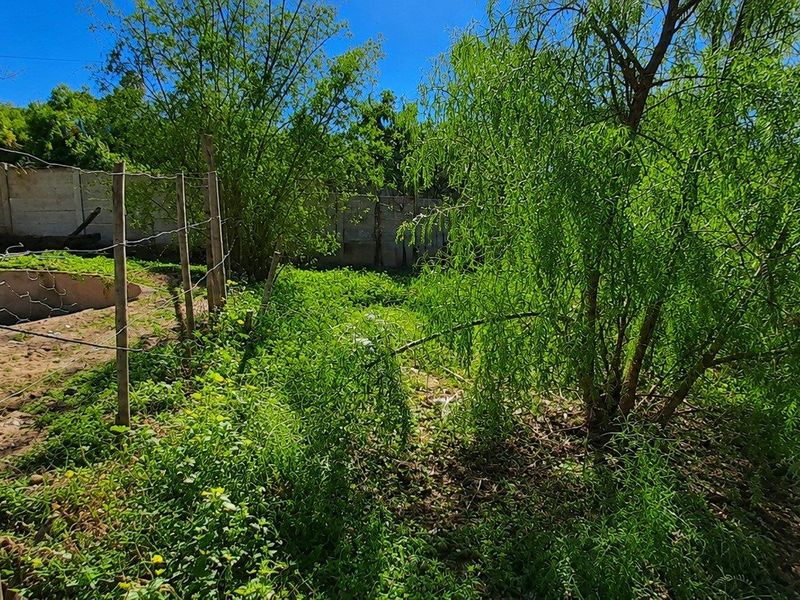 Prime Vacant Land Opportunity in West Bank - Photo 5