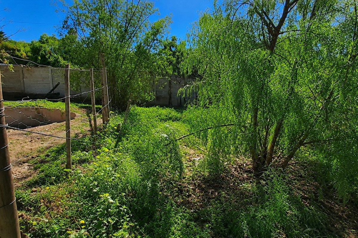 Prime Vacant Land Opportunity in West Bank - Photo 5