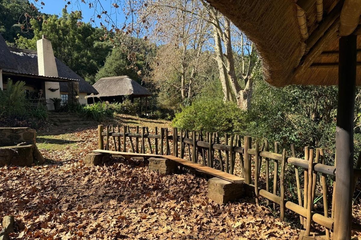Midlands Lifestyle Farm with Forest, Views & Spring Water, Balgowan, Howick - Photo 5