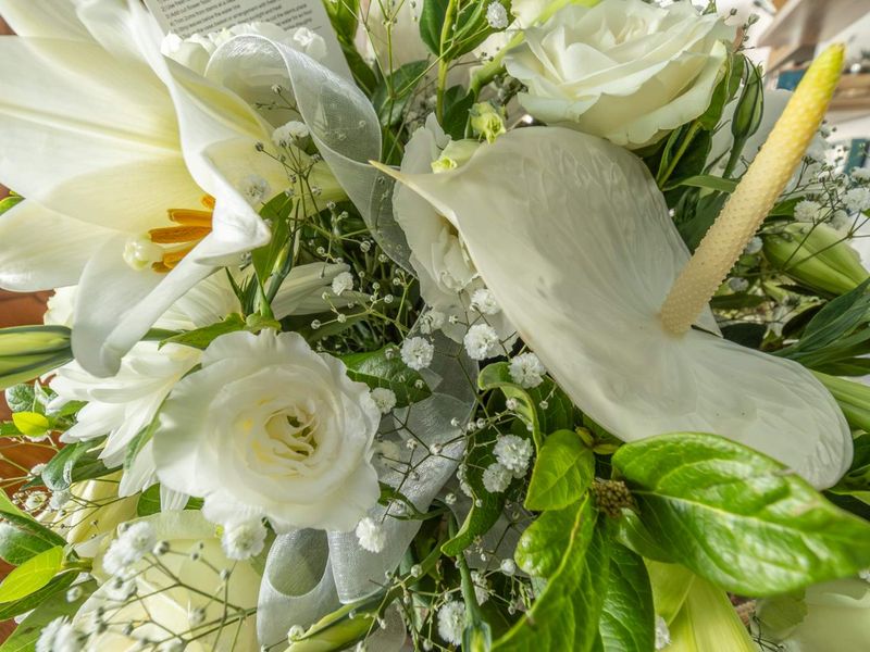 Fine modern-day distinction - Photo 7