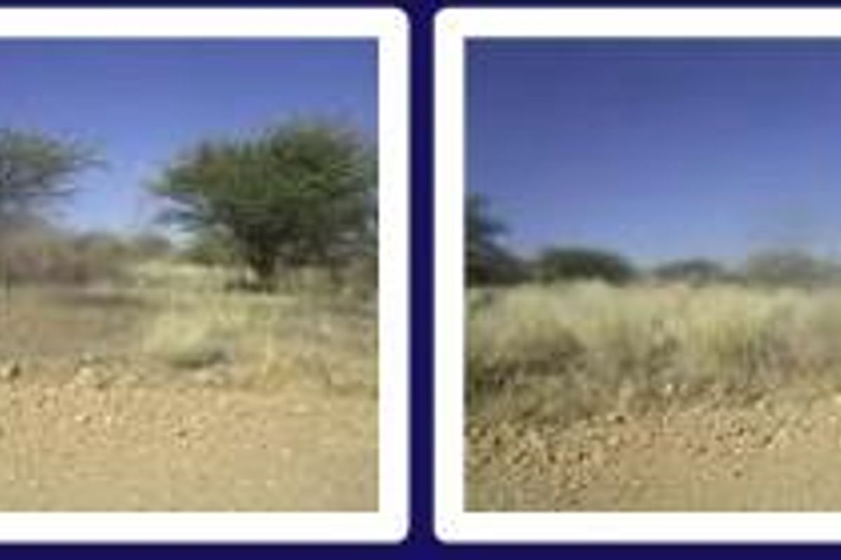 Brakwater plot for sale. - Photo 2