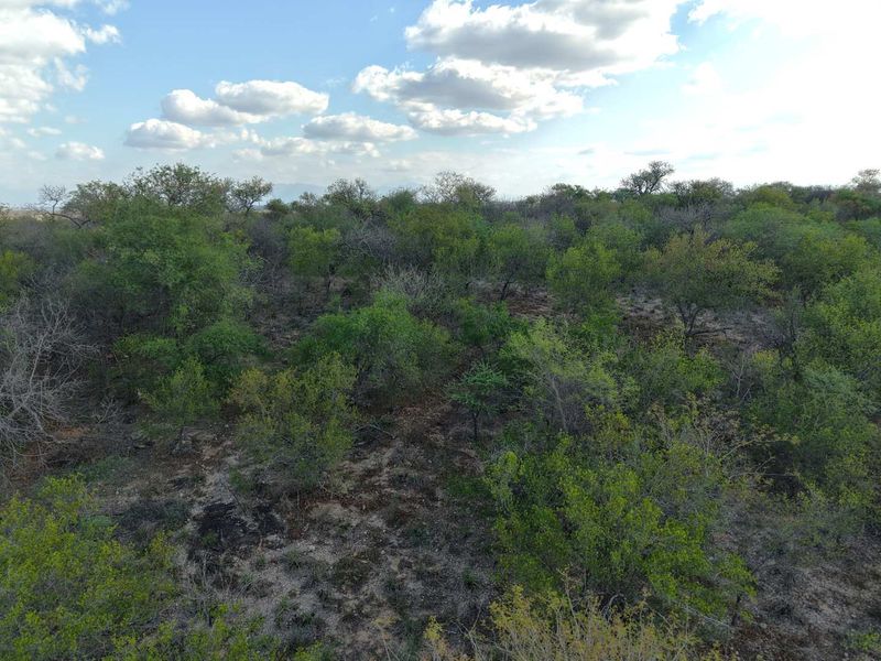 An aerial view of a vacant residential plot featuring natural bushveld vegetation and undeveloped terrain.