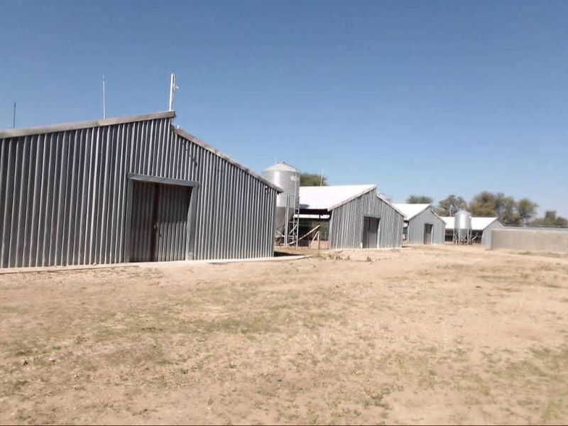 A series of functional corrugated metal agricultural sheds and silos situated on a large open plot.