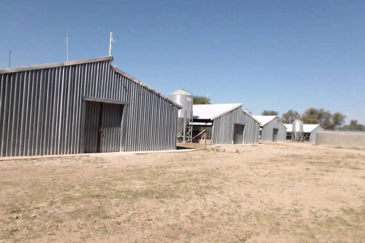 A series of functional corrugated metal agricultural sheds and silos situated on a large open plot.