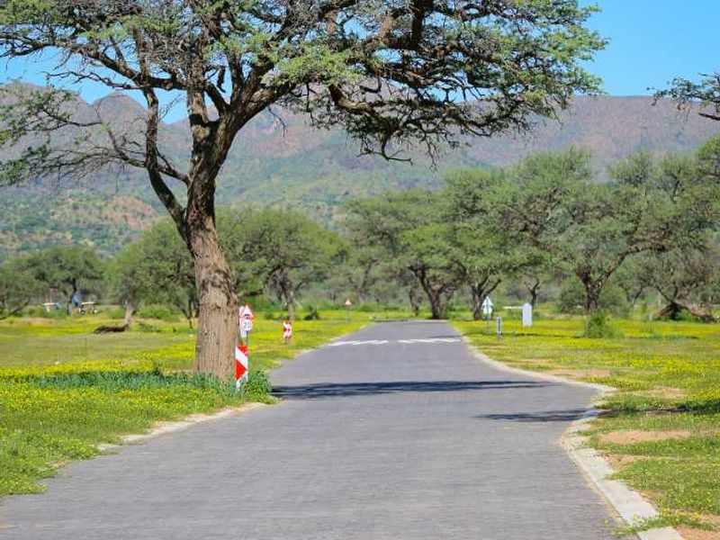 Omeya Golf & Lifestyle Estate – Phase 3 | Final Release - Photo 2
