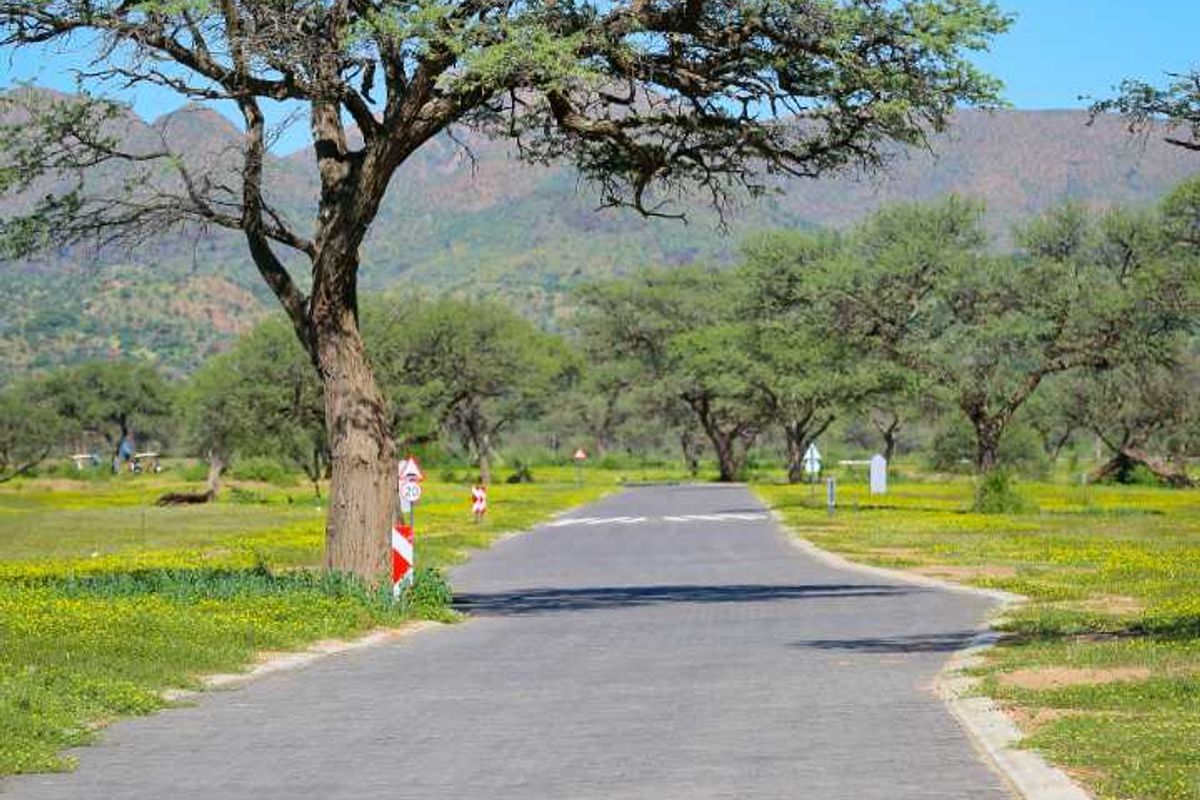 Omeya Golf & Lifestyle Estate – Phase 3 | Final Release - Photo 2