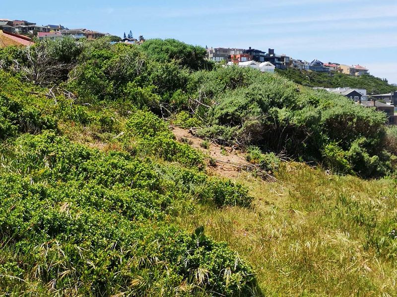 See the sea - vacant stand in Dana Bay - Photo 3