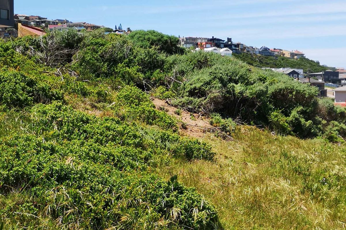 See the sea - vacant stand in Dana Bay - Photo 3