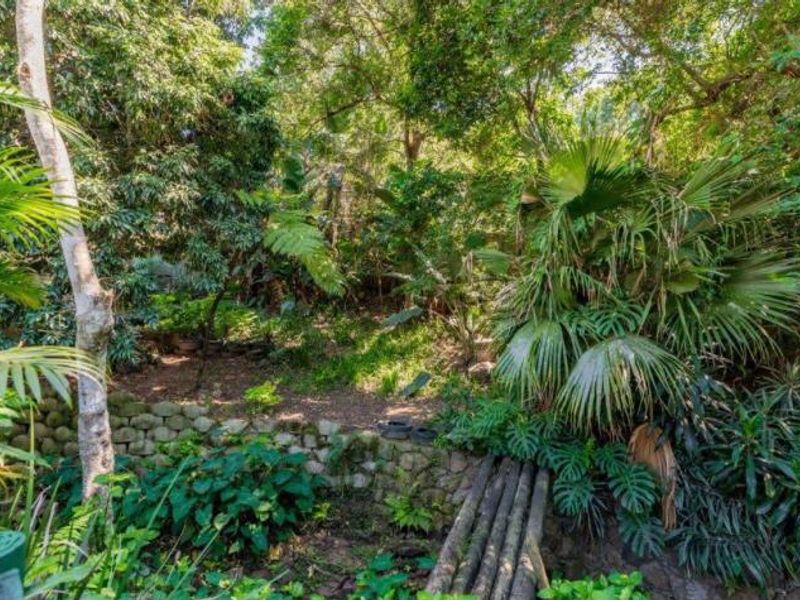A lush, densely landscaped garden featuring a stone retaining wall and a rustic wooden footbridge set amongst mature trees and tropical foliage.