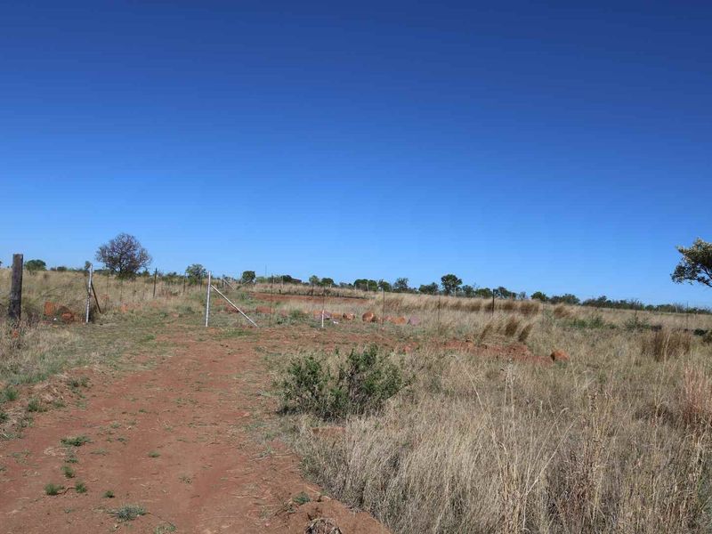 An expansive, undeveloped plot of land featuring natural dry grass, scattered trees, and perimeter wire fencing under a clear blue sky.